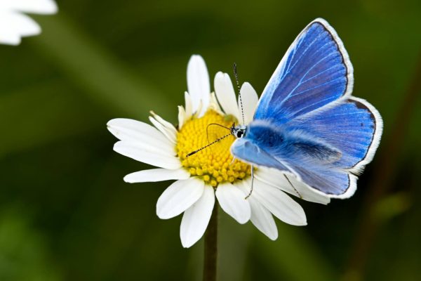 portada servicio define tu esencia